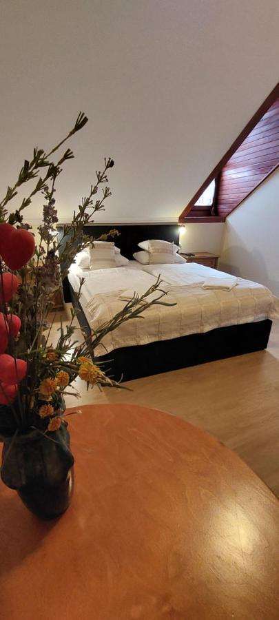 Forras Fogado Bed & Breakfast Bükkszék Екстериор снимка