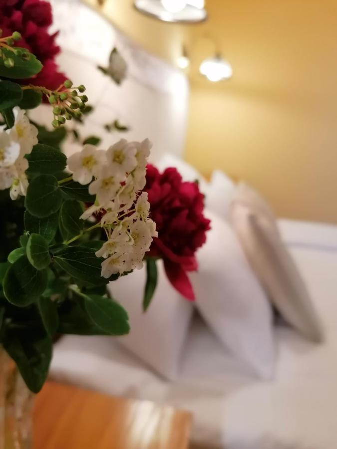 Forras Fogado Bed & Breakfast Bükkszék Екстериор снимка